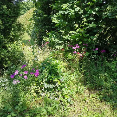 Lampertstal In Alendorf 아파트 블랑켄하임