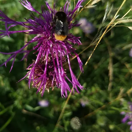 아파트 Lampertstal In Alendorf