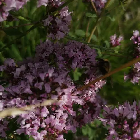 Lampertstal In Alendorf * 블랑켄하임