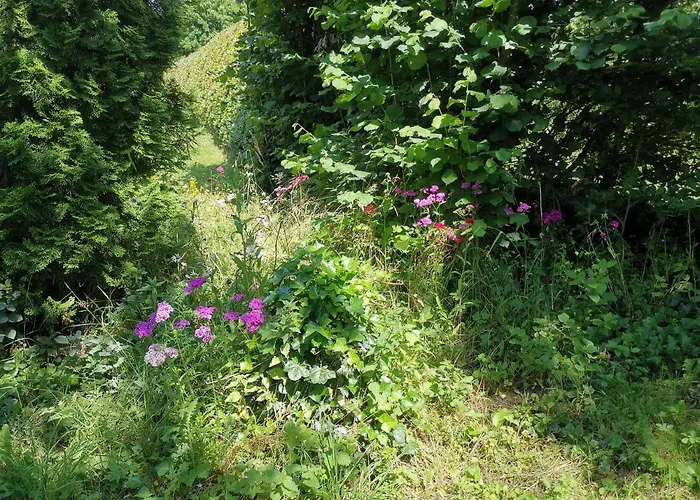 Lampertstal In Alendorf, Toskana Der Eifel Appartamento Blankenheim (North Rhine-Westphalia)