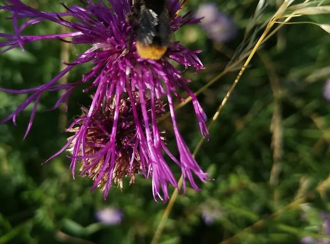 Appartamento Lampertstal In Alendorf, Toskana Der Eifel